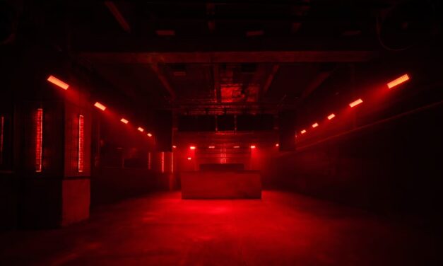 FVTVR Unveils First Wave of Artists for Autumn 2025 Festival