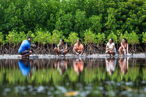 Fiji Marriott Resort Momi Bay Awarded EarthCheck Bronze Benchmarking Status