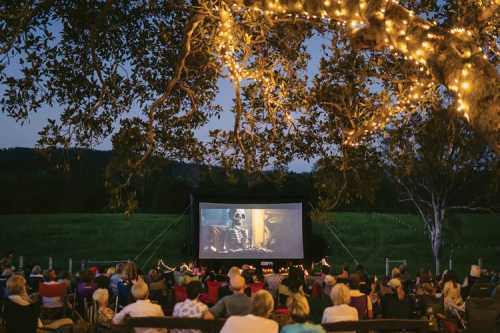 Go Gold Shines Bright with Film, Art, Music & Community Fun