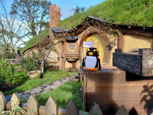 Intrepid Backs Rockhopper in 2025 Bird of the Year Race