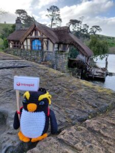 Rocky on Tour with Intrepid