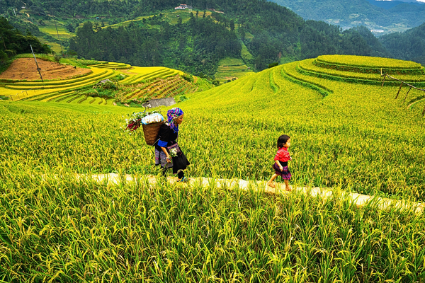 Secret Retreats Unveils ‘The Butler’ for Asia’s Unique Journeys