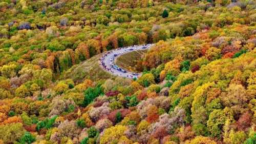 Autumn Colors Shine at Yichun Tourism 2025