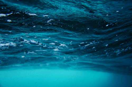 High Seas Treaty Sets Sail with 60th Ratification