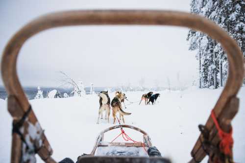 001OctolaExperienceHuskySledding_Press
