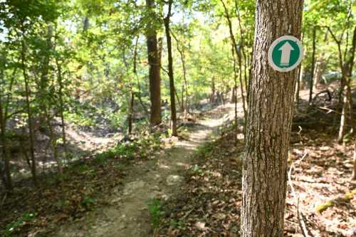Bull Shoals-White River State Park