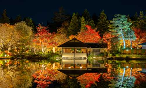 Autumn 2025 in Tokyo Bursts with Colour and Culture