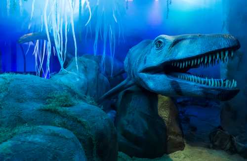 Dino Aquarium mighty marine reptiles ©Joe Wigdahl