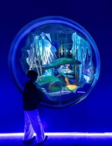 Dino Aquarium with child viewing portal ©Joe Wigdahl