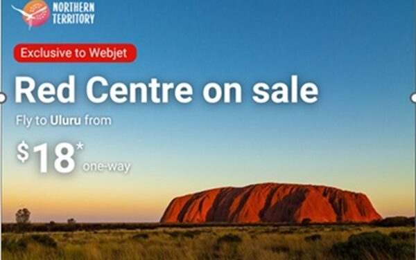 Asterisk Pricing: The Costly Trap in Online Advertising