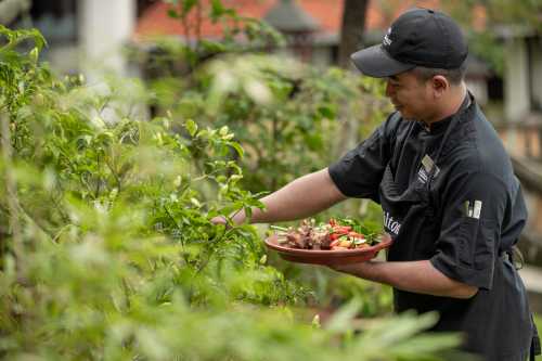 Hilton Bali Resort - Herbs Garden