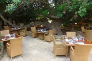 Il Carrubo, dining under the carob tree