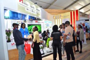 MKTE 2025 - 3