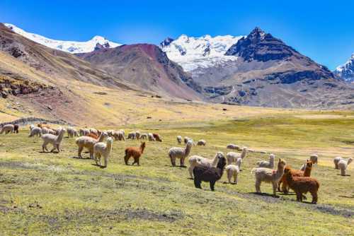 Timbuktu Unveils the Ultimate 2026 Travel Timing Tool