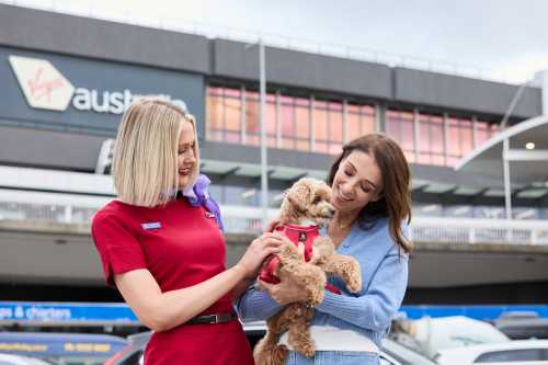 Virgin Australia Lets Pets Fly High in Cabin Comfort