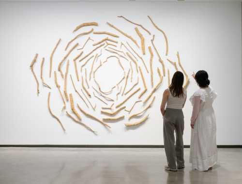 Yasmin Smith Ignites Nature’s Beauty at MCA’s ‘Elemental Life’
