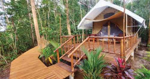 Your Tented Camp Stay Keeps the Forest Standing in Cambodia