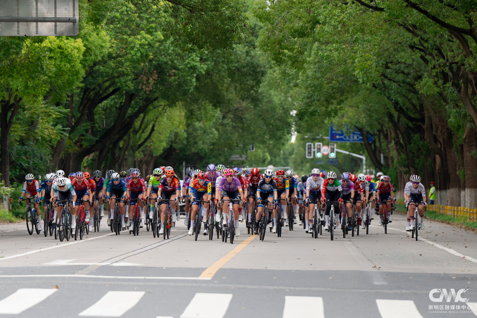 20251104_2_Chongming Hosts Elite Womens Cycling Race