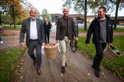 HAL Blooms with a New Tulip Honouring Dutch Heritage