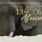 How Africa’s Safaris Got Their Soul Back