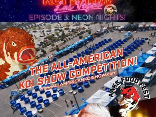 All-American Koi Show 2026 Makes a Splash in Las Vegas
