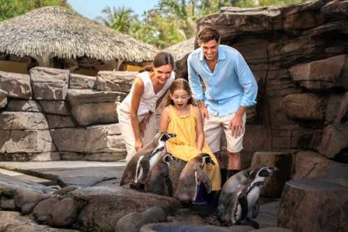 Marine Safari Bali Unveils a New Wave of Discovery