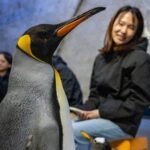 Rainforest Festival Unveils Wild New Experiences