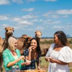 Dreaming Trails Reveals the Sunshine Coast’s Living Spirit