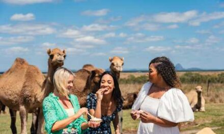 Dreaming Trails Reveals the Sunshine Coast’s Living Spirit