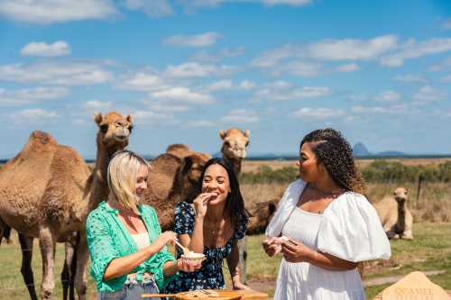 Dreaming Trails Reveals the Sunshine Coast’s Living Spirit