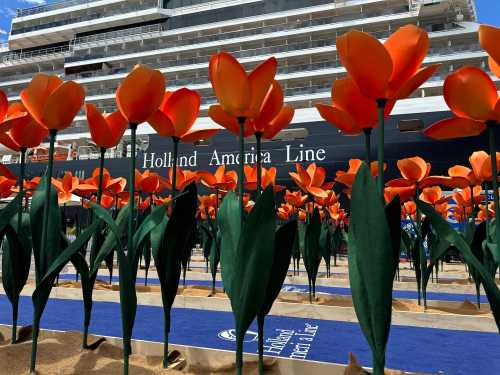 Holland America Line Celebrates Close-to-Home Season Launch with Sydney Tall Orange Tulip Garden