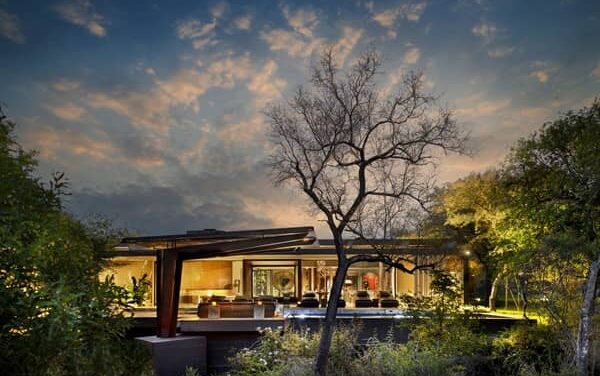 Cheetah Plains sharpens global strategy with new leadership