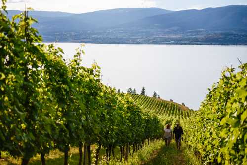 Kelowna Cooks Up Fame as Canada’s First UNESCO Gastronomy City