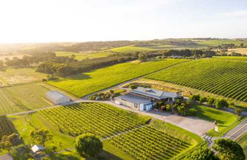 Maxwell Wines Savours Global Culinary Glory!