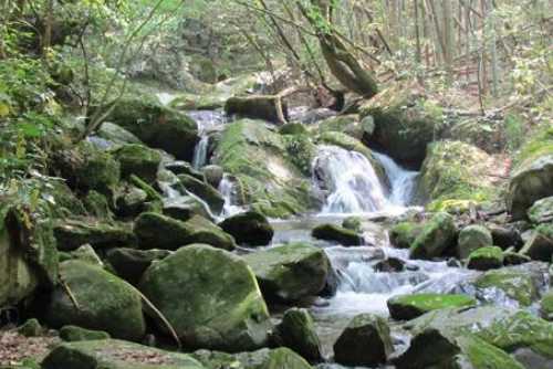 Nogouchi River. Image by ©Fukuoka City