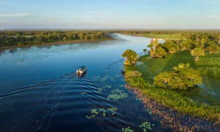 Outback Spirit Unleashes 2027 Deals Worth Grabbing