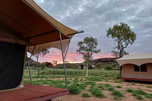 Intrepid Travel Triumphs at 2025 Brolga NT Awards