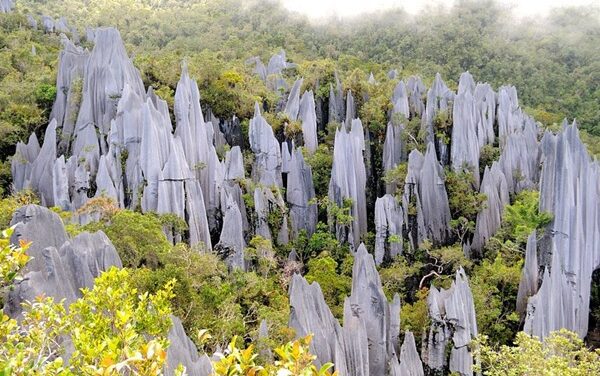 Sarawak Shines at WTM London with Cultural Brilliance