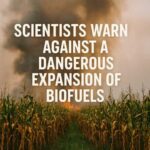 Scientists Warn: Biofuel Boom Could Burn Climate Progress at COP30