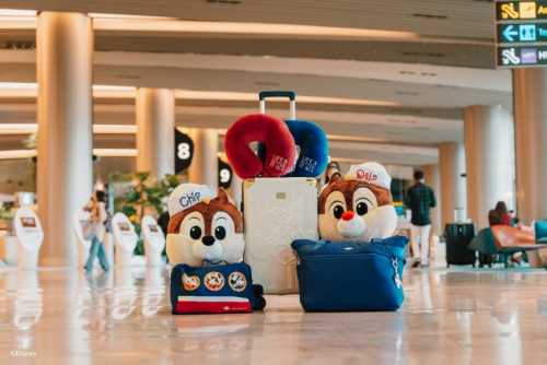 Shop at Changi Airport and Jewel this holiday season for special Disney Cruise Line themed collectibles.