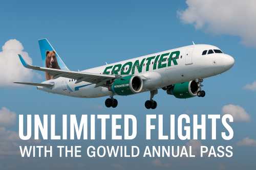 Frontier Unveils $349 GoWild Unlimited Flights Deal
