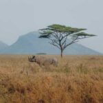 Adventure World Unveils Purpose-Led Wildlife Trips for Safari Day