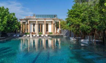 Cape & Kantary Serve a Sparkling Christmas Eve Feast