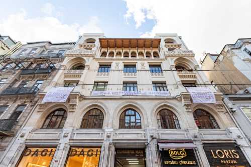 Istanbul Biennial’s Three-Legged Cat Charms 600,000 Fans