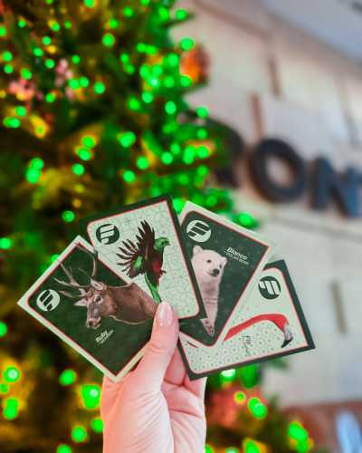 Frontier Airlines Adds Holiday Cheer for Kids in the Sky