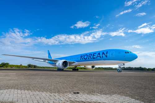 Korean Charter Triumph Sparks Festive Travel Cheer