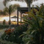 Soak Up Summer Magic in Byron Hinterland’s Amaroo