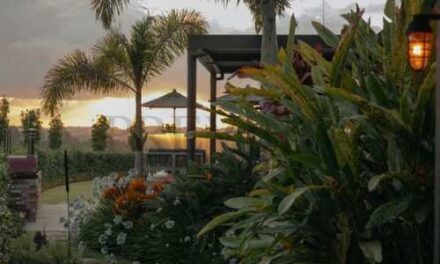 Soak Up Summer Magic in Byron Hinterland’s Amaroo