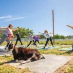 Sonoma Unveils Serenity: Forest Breaths, Kelp Hunts & Cedar Bliss