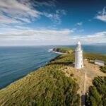 SeaLink Tasmania Celebrates Milestone in Inclusive Sunflower Travel